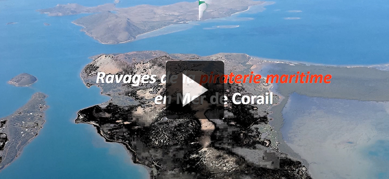 Un collectif s&rsquo;élève contre la pêche illégale en nouvelle-Calédonie