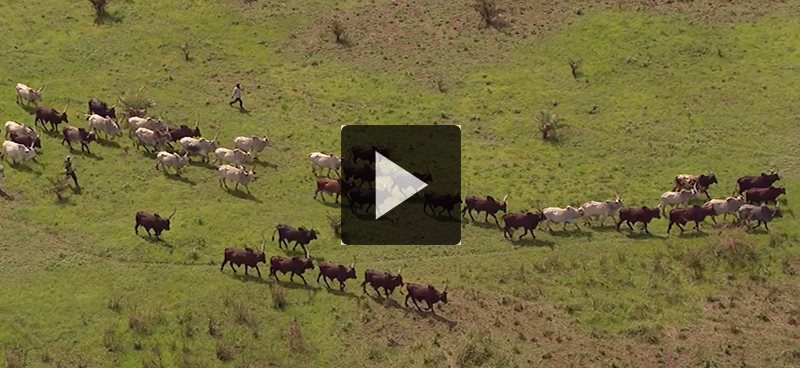 Signature de l’accord du Fonds bleu pour le Bassin du Congo