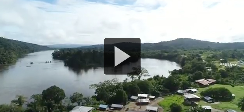 Guyane : L&rsquo;énergie verte du poumon guyanais – Positive Outre-Mer