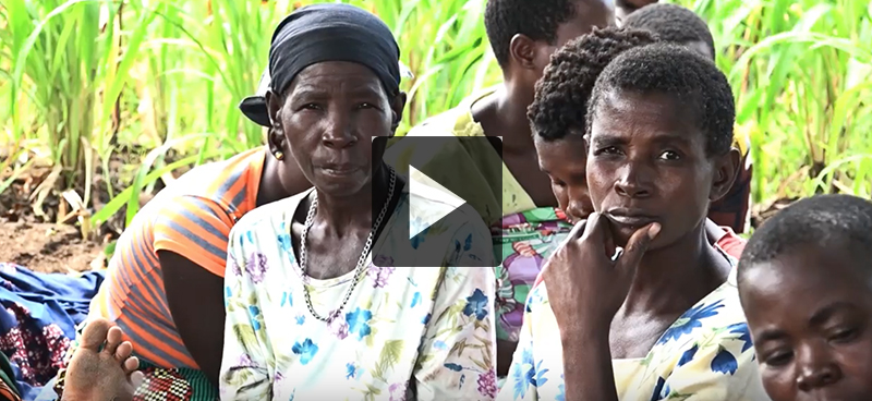 La radio pour préserver les sols et replanter des forêts