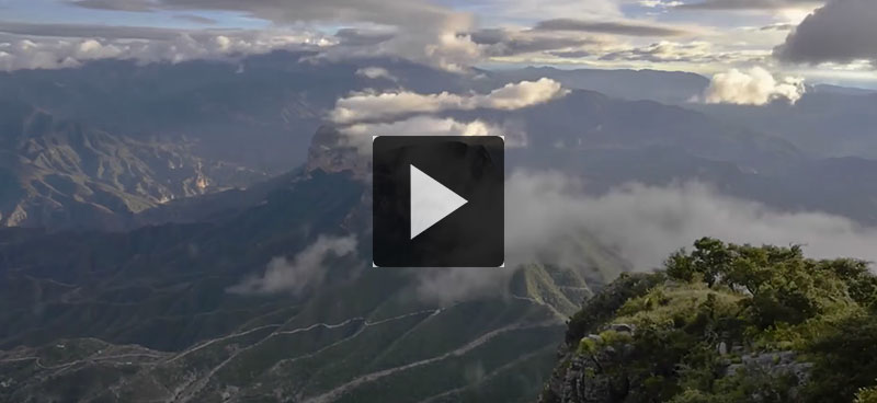 An environmental activist in Mexico speaks out to protect the planet