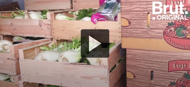 Le Freegan Pony, un restaurant anti-gaspillage et solidaire