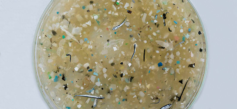 Plastiques en mer, les solutions sont à terre!