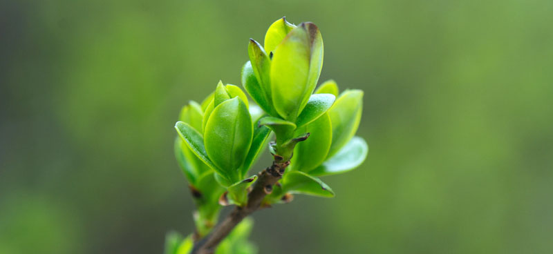 Levée de fonds historique pour M2i Life Sciences