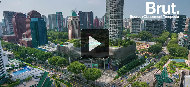 Singapour choisit l&rsquo;écologie comme grand axe de développement