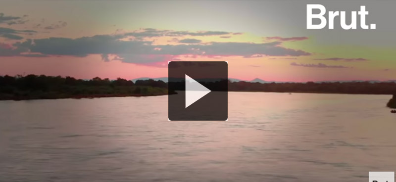 5 bonnes nouvelles pour ce début d&rsquo;année