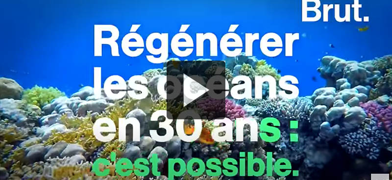 Les actions pour régénérer les océans d&rsquo;ici à 2050