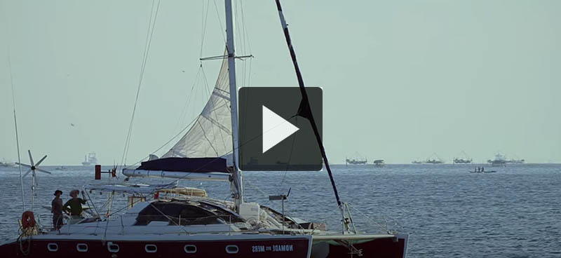 Tour du monde des low-tech: des mouches pour former du compost