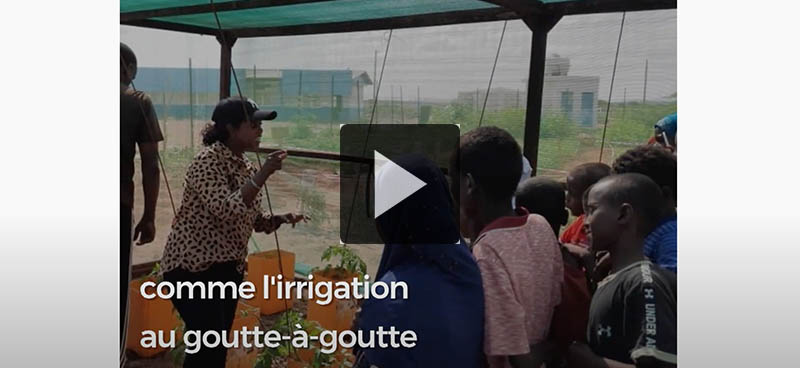 À Djibouti, des élèves s’initient au jardinage et aux techniques agricoles