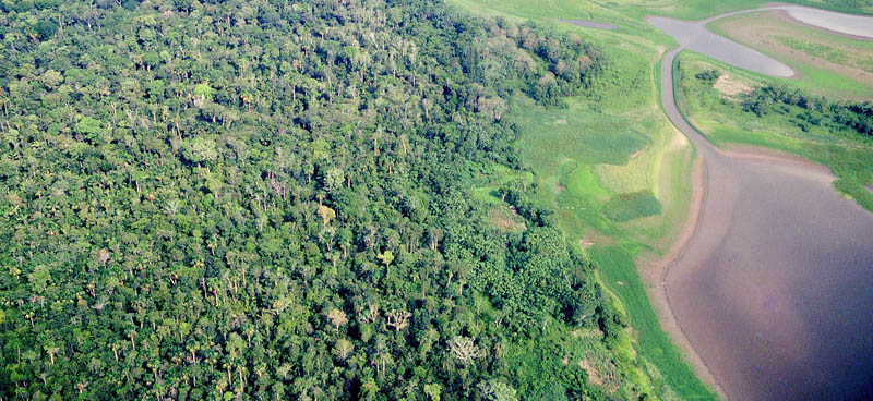NESsT et le Fonds Vert pour les Femmes R20 unissent leurs forces