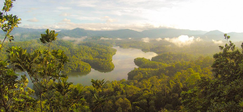 Les forêts : réserve nourricière face aux aléas climatiques