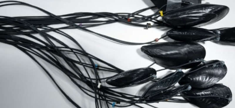 À Las Vegas, la tech présente ses solutions pour le climat