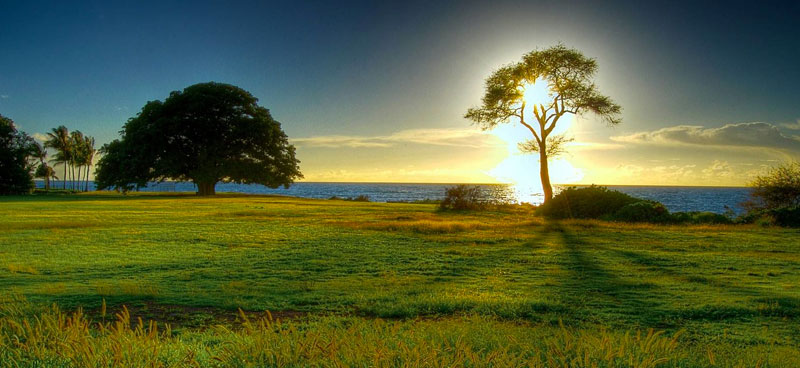 Peut-on « restaurer » la nature ?